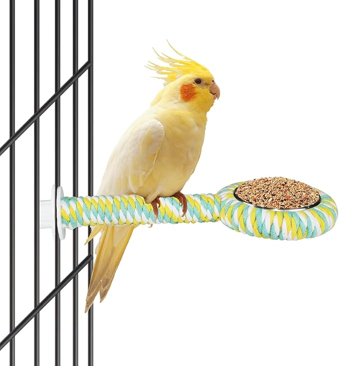 Pet Feeding & Watering Supplies