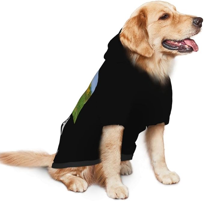 Personalized Dog Hoodie Customized with Name Photo Pet Warm Sweater Hoodie for Medium Large Dogs & Cat Puppy, Red, S