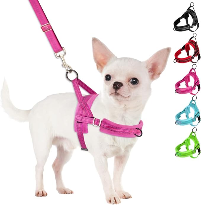 SlowTon No Pull Small Dog Harness and Leash Set, Puppy Soft Vest Harness Neck & Chest Adjustable, Reflective Lightweight Harness & Anti-Twist Pet Lead Combo for Small Medium Dogs (Fuchsia, XS)