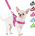 SlowTon No Pull Small Dog Harness and Leash Set, Puppy Soft Vest Harness Neck & Chest Adjustable, Reflective Lightweight Harness & Anti-Twist Pet Lead Combo for Small Medium Dogs(FU,L)