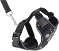 RC Pets Adventure Kitty Cat Harness | Adjustable Airmesh Vest with D-Ring and 6ft Leash for Walking and Travel | Daisies, Medium