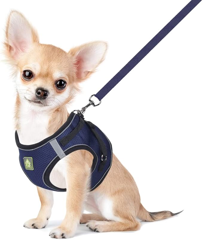 FEimaX Dog & Cat Harness Set, No Pull, Reflective, Adjustable, Soft Mesh, Red, M (Chest 13.7-15.7'')