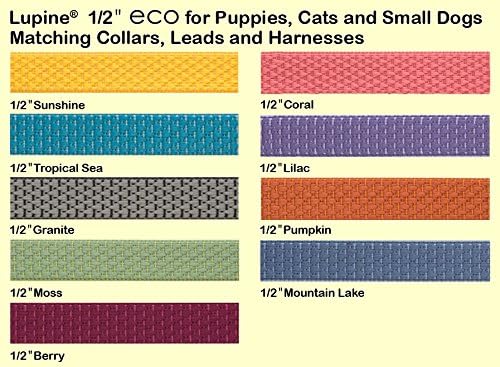 LupinePet Eco 1/2" Berry Cat Safety Collar with Bell , 8-12"