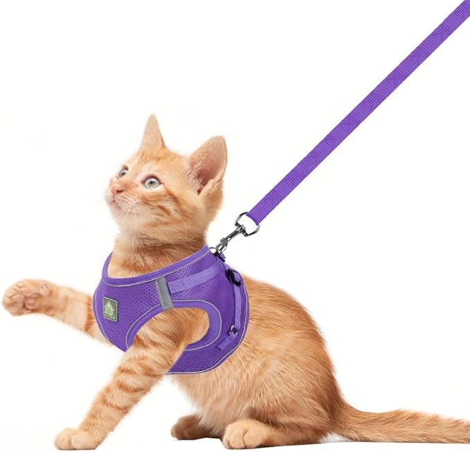 FEimaX Dog Harness and Leash Set, No-Pull Breathable Soft Mesh Puppy Vest Harness Reflective Adjustable Pet Harnesses for Small Medium Dogs and Cats - Outdoor Easy Control for Walking (M, Purple)