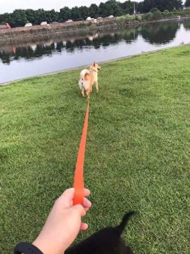 AMAGOOD Dog/Puppy Obedience Recall Training Agility Lead-15 ft 20 ft 30 ft 50 ft Long Leash-for Dog Training,Tie Out,Play,Safety,Camping (30Feet x 1Inch,Blue)
