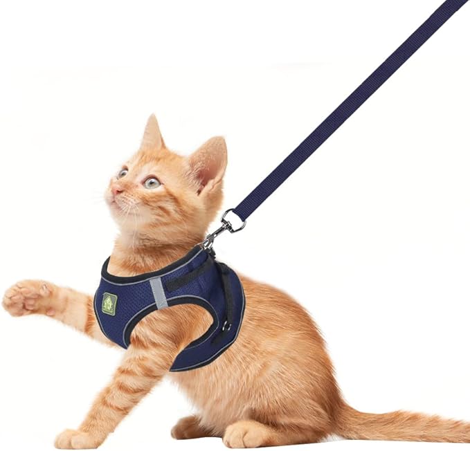 FEimaX Dog & Cat Harness Set, No Pull, Reflective, Adjustable, Soft Mesh, Red, M (Chest 13.7-15.7'')