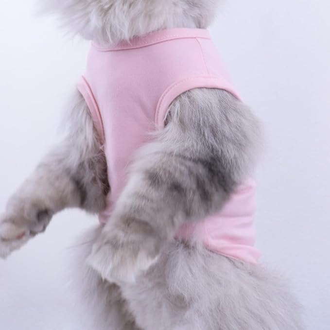 Custom Dog Shirt,Personalized Pet Apparel with Name Text Photo Image,Lightweight Breathable Puppy Kitten Cotton Vest for Small Medium Large Dogs Cats,Puppy Gift (White + Black Border, X-Large)