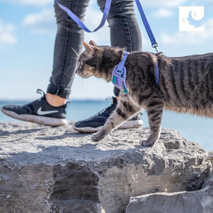 RC Pets Adventure Kitty Harness Includes Adjustable, Airmesh Fabric, 6' Leash and D-Ring Cat Walking Harness | Splatter, Medium