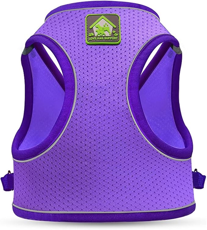 FEimaX Dog Harness and Leash Set, No-Pull Breathable Soft Mesh Puppy Vest Harness Reflective Adjustable Pet Harnesses for Small Medium Dogs and Cats - Outdoor Easy Control for Walking