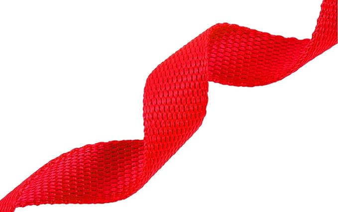 AMAGOOD Dog/Puppy Obedience Recall Training Agility Lead-15 ft 20 ft 30 ft 50 ft Long Leash-for Dog Training,Tie Out,Play,Safety,Camping (30Feet x 1Inch,Red)