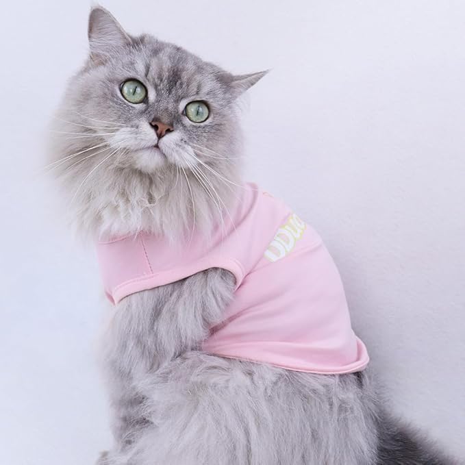 Custom Dog Shirt,Personalized Pet Apparel with Name Text Photo Image,Lightweight Breathable Puppy Kitten Cotton Vest for Small Medium Large Dogs Cats,Puppy Gift (Blue, XX-Large)
