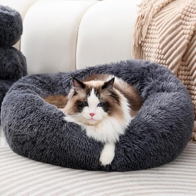 Donut Dog Bed Small Pet Bed Cat Bed Pet Beds Puppy Bed Kitten Bed Rabbit Bed Kitten Beds for Indoor Kittens Cat Beds for Indoor Cats Up to 7 Lbs
