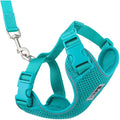 RC Pets Adventure Kitty Cat Harness | Adjustable Airmesh Vest with D-Ring and 6ft Leash for Walking and Travel | Teal, Large