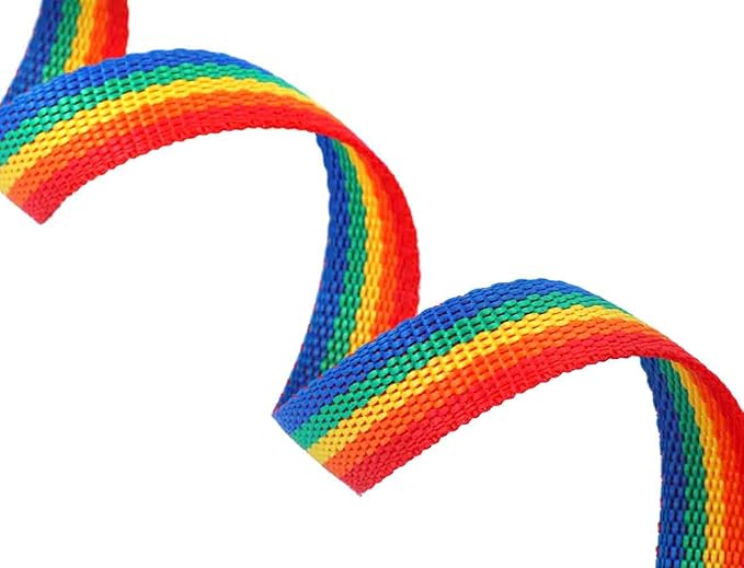AmaGood Dog/Puppy Obedience Recall Training Agility Lead-15 ft 20 ft 30 ft 50 ft Long Leash-for Dog Training,Recall,Play,Safety,Camping (30feet, Rainbow)