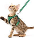 PUPTECK Cat Harness and Leash Set Escape Proof Reflective Cat Walking Harness Adjustable Soft Breathable Mesh Vest for Small Pets, Dark Green, XS