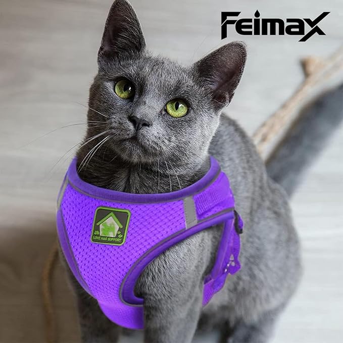 FEimaX Dog Harness and Leash Set, No-Pull Breathable Soft Mesh Puppy Vest Harness Reflective Adjustable Pet Harnesses for Small Medium Dogs and Cats - Outdoor Easy Control for Walking