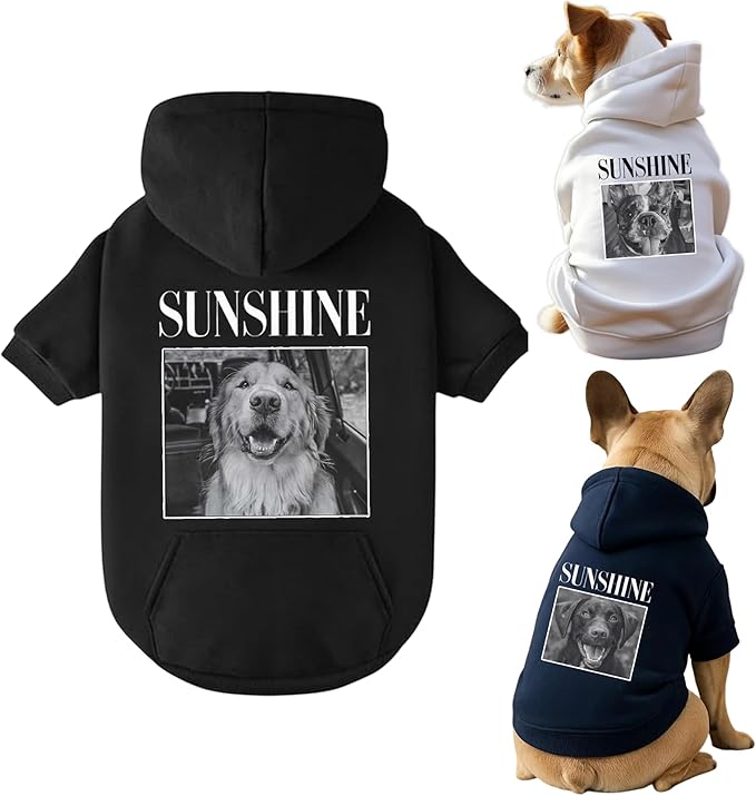 Personalized Name Dog Hoodie, Print Hoodies Pets Name, Custom Pet Memorial, Bright Puppy Sweatshirt, Customized Pet Clothes Warm Winter Outfit for Dogs, Gift for Dog Lovers Style 5