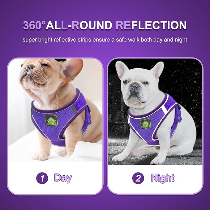 FEimaX Dog Harness and Leash Set, No-Pull Breathable Soft Mesh Puppy Vest Harness Reflective Adjustable Pet Harnesses for Small Medium Dogs and Cats - Outdoor Easy Control for Walking (L, Purple)