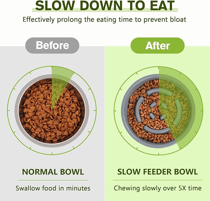 Pecute Slow Feeder Dog Bowls to Slow Down Eating, Dog Bowl Slow Feeder with No-Spill Non-Skid Silicone Mat, Food-Grade Safe Dog Food Bowls Slow Feeder, Stainless Steel Dog Water Bowl for Dogs Cats