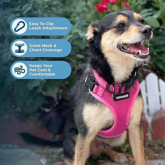 Voyager Step-in Pet Harness - All Weather Mesh, Adjustable Step in Harness for Cats and Dogs by Best Pet Supplies - Fuchsia, M