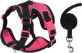 Cat Harness and Leash Set for Walking – Escape-Proof Reflective Vest for Cats and Small Dogs, Adjustable Soft Air Mesh with Pressure-Reducing Design, 4.92ft (Black & Rose, S)