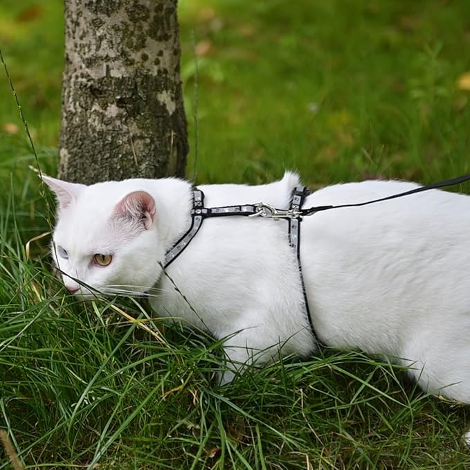 KOOLTAIL Cat Harness and Leash Set, Escape Proof Adjustable Kitten Harness for Walking Travel, Safe & Easy Control Outdoor, Lightweight Soft Pet Harness for Small Medium Large Cats, Black