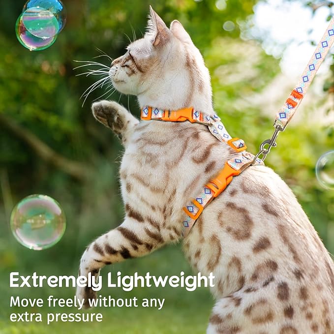 Dooradar Cat Harness and Leash, Escape Proof Adjustable Kitten Vest, Lightweight Soft Pet Straps, Easy Wearing for Small Medium Kitty Safe Walking Travel Control, White, M