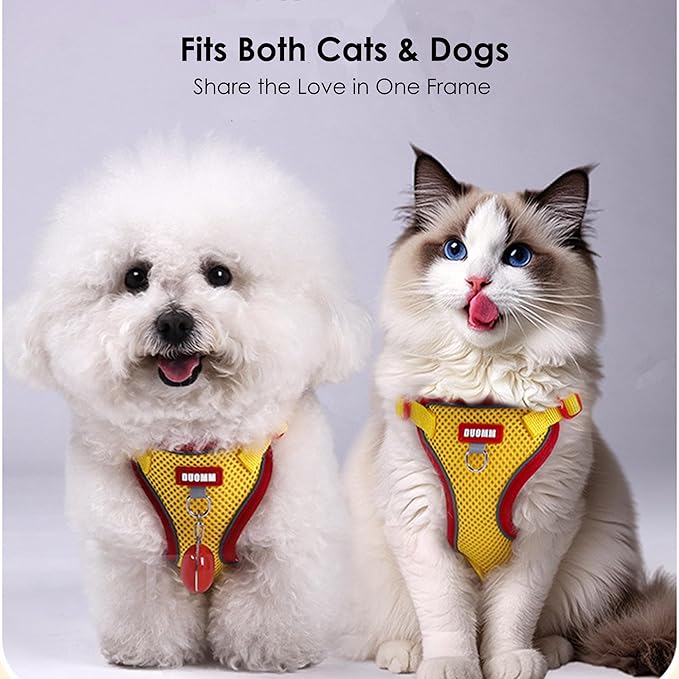 Cat Harness and Leash Set for Walking – Escape-Proof Reflective Vest for Cats and Small Dogs, Adjustable Soft Air Mesh with Pressure-Reducing Design, 4.92ft (Blue & Purple, S)