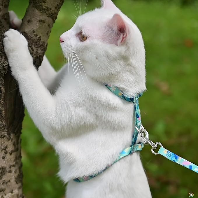 KOOLTAIL Cat Harness and Leash Set, Escape Proof Adjustable Kitten Harness for Walking Travel, Safe & Easy Control Outdoor, Lightweight Soft Pet Harness for Small Medium Large Cats, Leaf Green
