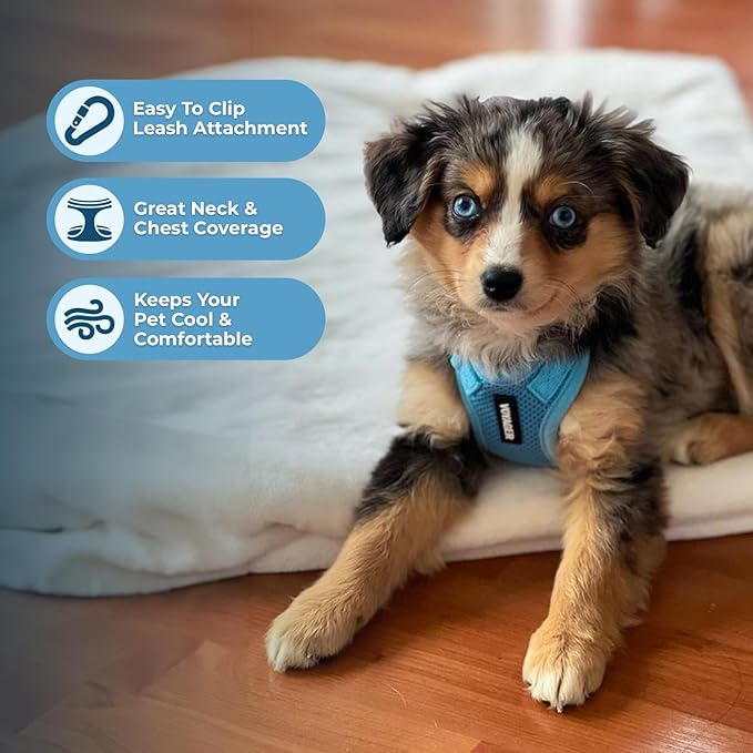 Voyager Step-in Pet Harness - All Weather Mesh, Adjustable Step in Harness for Cats and Dogs by Best Pet Supplies - Baby Blue, XL