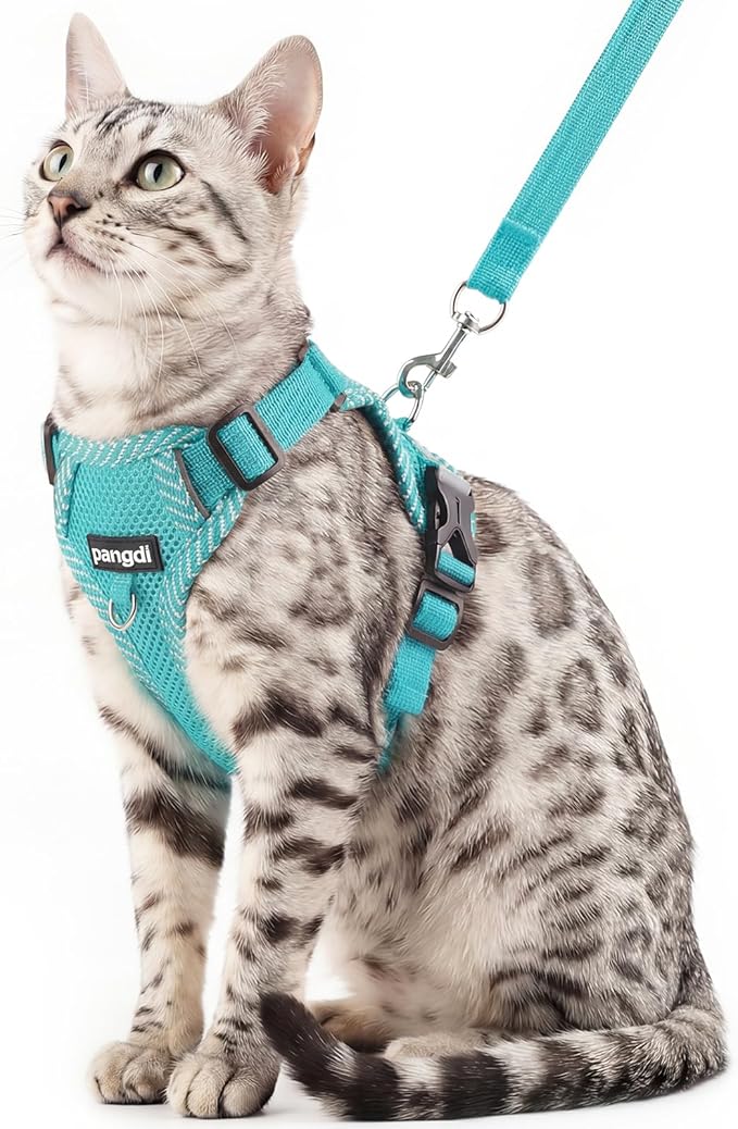 Cat Harness and Leash Escape Proof Extra Large Kitten Harness Maine Coon Cat Vest for Walking Travel, Turquoise, XXL