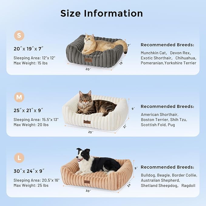 Small Dog Beds for Small Dogs - Washable Cat Beds for Indoor Cats, Rectangle Orthopedic Puppy Bed with Fluffy Removable Cover, 20x19x7inches, Beige