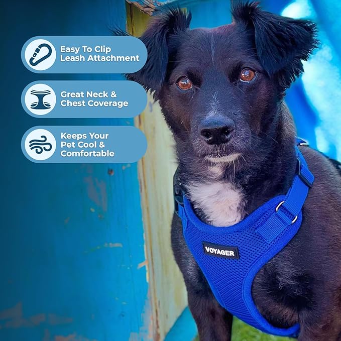Voyager Step-in Pet Harness - All Weather Mesh, Adjustable Step in Harness for Cats and Dogs by Best Pet Supplies - Royal Blue, XL