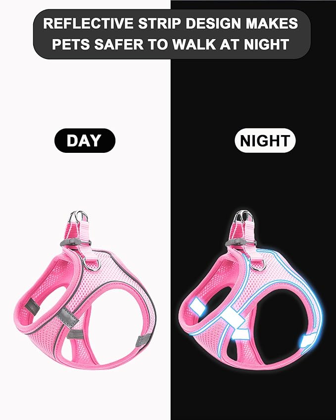 XXS Red Soft Mesh Dog Harness and Leash Set,No Escape Puppy Harnesses for Training Walking， Reflective Adjustable Puppy Vest for Small Medium Dogs, Cats (Red, XXS)