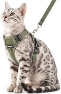 Cat Harness and Leash Escape Proof Extra Large Kitten Harness Maine Coon Cat Vest for Walking Travel, Dark Green, XXL