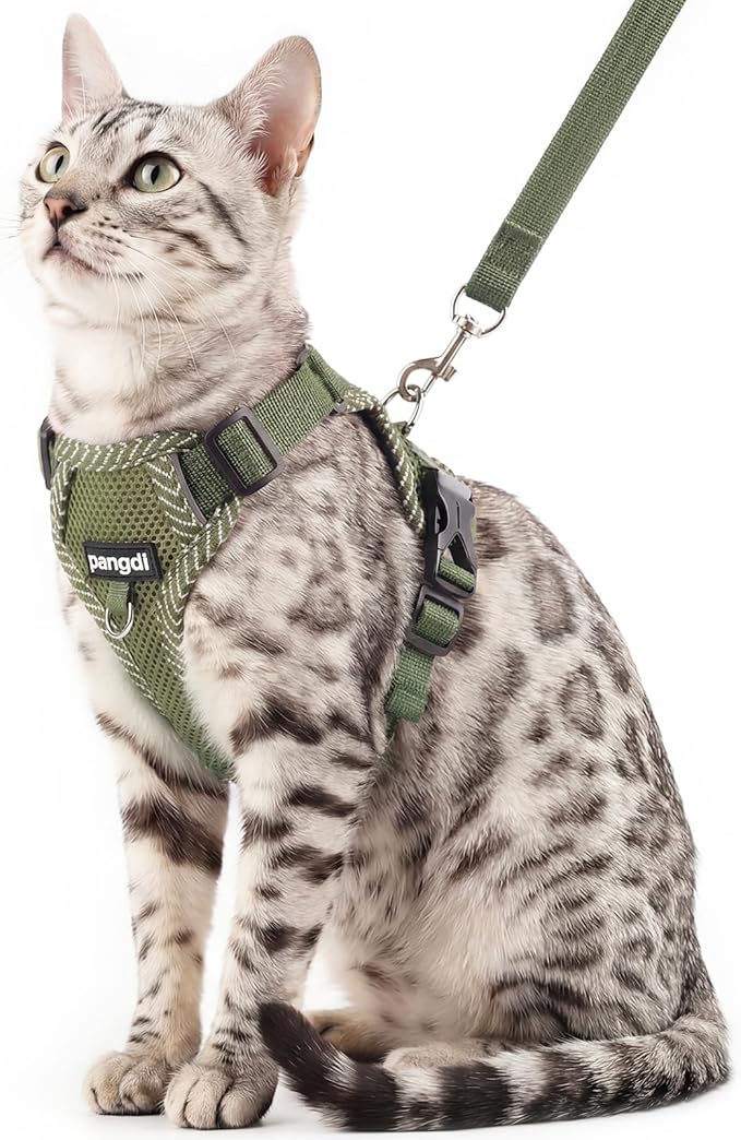 Cat Harness and Leash Escape Proof Extra Large Kitten Harness Maine Coon Cat Vest for Walking Travel, Dark Green, XL