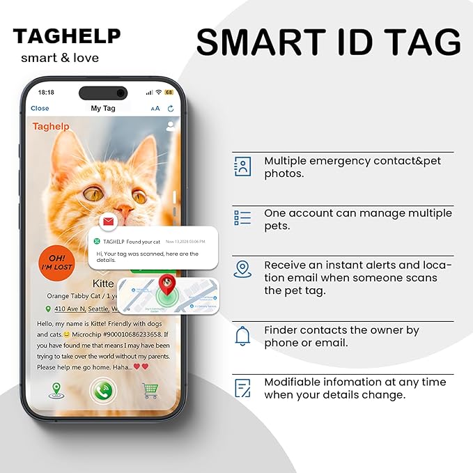 Reflective Kitten Collars with Bell,Cat Collar Breakaway with QR Code Name Tag, Cat ID Tag Personalized, Ultra-Durable, Adjustable, Quick Release, Fits Most Girl Boy Small Large Cats (Black)