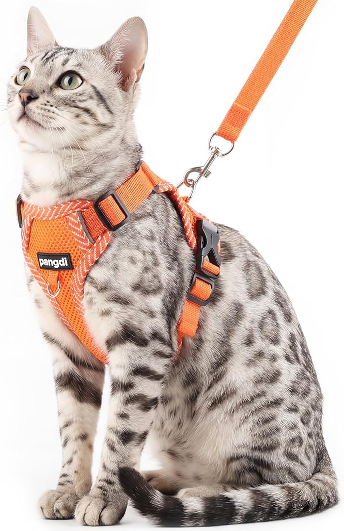 Cat Harness and Leash Escape Proof Medium Kitten Harness Bengal Cat Vest for Walking Travel, Orange, M