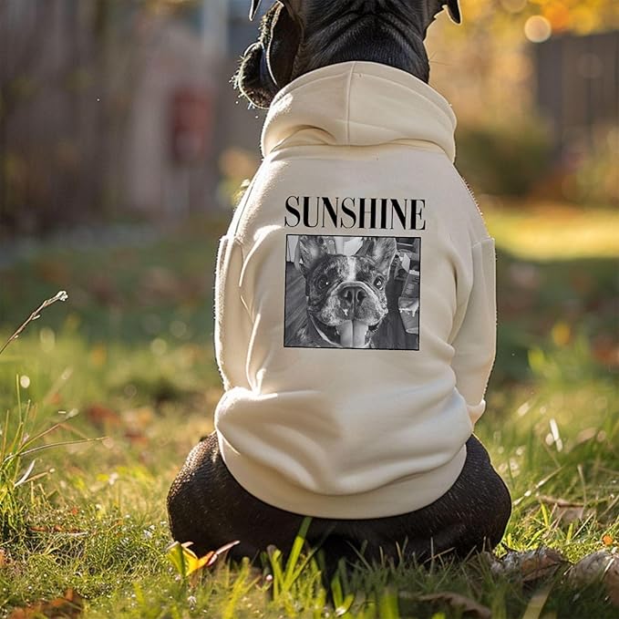 Personalized Name Dog Hoodie, Print Hoodies Pets Name, Custom Pet Memorial, Bright Puppy Sweatshirt, Customized Pet Clothes Warm Winter Outfit for Dogs, Gift for Dog Lovers Style 5