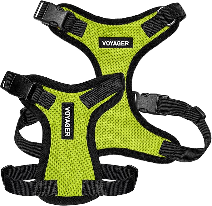 Voyager Step-in Pet Harness - All Weather Mesh, Adjustable Step in Harness for Cats and Dogs by Best Pet Supplies - Lime Green/Black Trim, XS