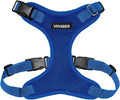 Voyager Step-in Pet Harness - All Weather Mesh, Adjustable Step in Harness for Cats and Dogs by Best Pet Supplies - Royal Blue, XL
