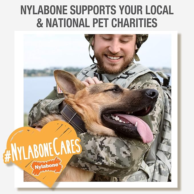 Nylabone Double Action Bone Puppy Chew Toy, Rubber Teething Toys for Puppies, Puppy Chew Bone, Bacon Flavor, Small Dogs - Up to 25 lbs., 1 Count