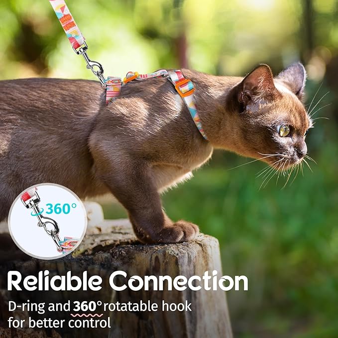 Dooradar Cat Harness and Leash, Escape Proof Adjustable Kitten Vest, Lightweight Soft Pet Straps, Easy Wearing for Small Medium Kitty Safe Walking Travel Control, Rainbow, S