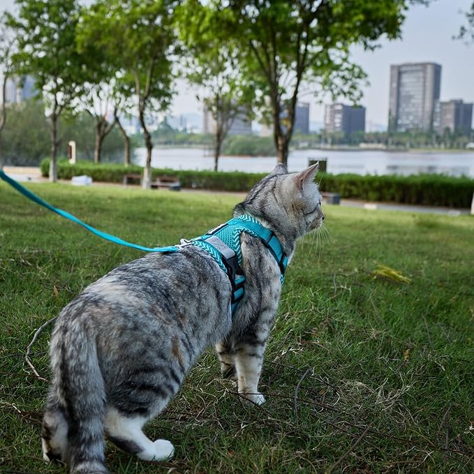 Cat Harness and Leash Escape Proof Extra Large Kitten Harness Maine Coon Cat Vest for Walking Travel, Turquoise, XL