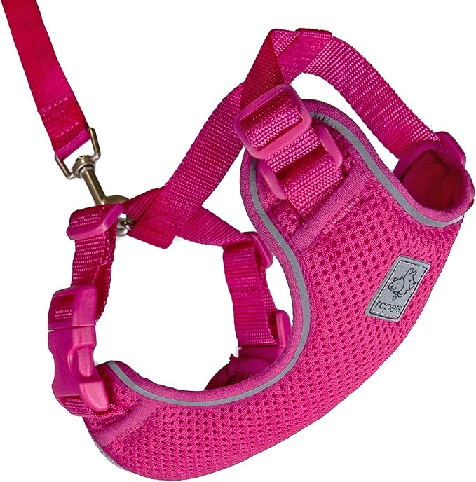 RC Pets Adventure Kitty Cat Harness | Adjustable Airmesh Vest with D-Ring and 6ft Leash for Walking and Travel | Raspberry, Large
