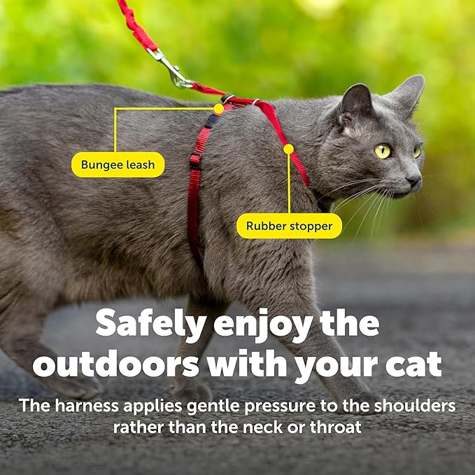 PetSafe Come With Me Kitty Harness and Bungee Leash, Medium, Red