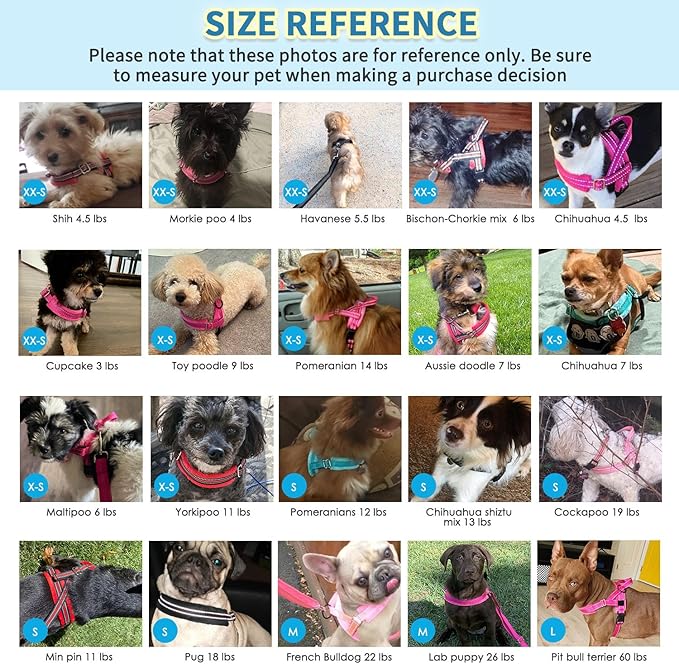 SlowTon No Pull Small Dog Harness and Leash Set, Puppy Soft Vest Harness Neck & Chest Adjustable, Reflective Lightweight Harness & Anti-Twist Pet Lead Combo for Small Medium Dogs (PU-Front Clip, S)