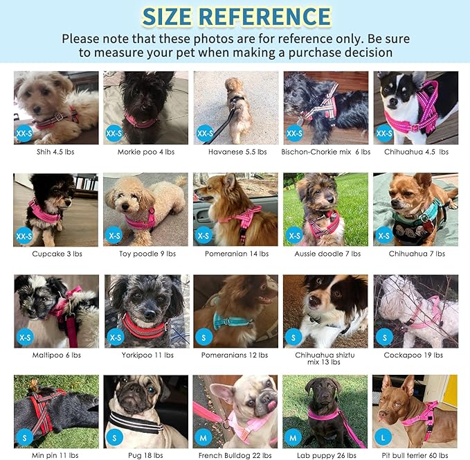 SlowTon No Pull Small Dog Harness and Leash Set, Puppy Soft Vest Harness Neck & Chest Adjustable, Reflective Lightweight Harness & Anti-Twist Pet Lead Combo for Small Medium Dogs (DB-Front Clip, S)