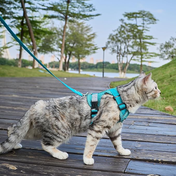 Cat Harness and Leash Escape Proof Medium Kitten Harness Bengal Cat Vest for Walking Travel, Turquoise, M