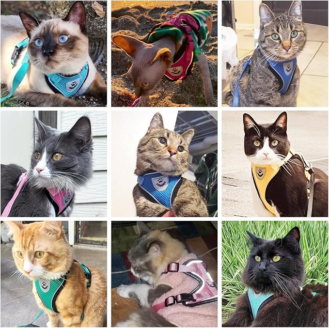 PUPTECK Cat Harness and Leash Set Escape Proof Reflective Cat Walking Harness Adjustable Soft Breathable Mesh Vest for Small Pets, Light Pink, M